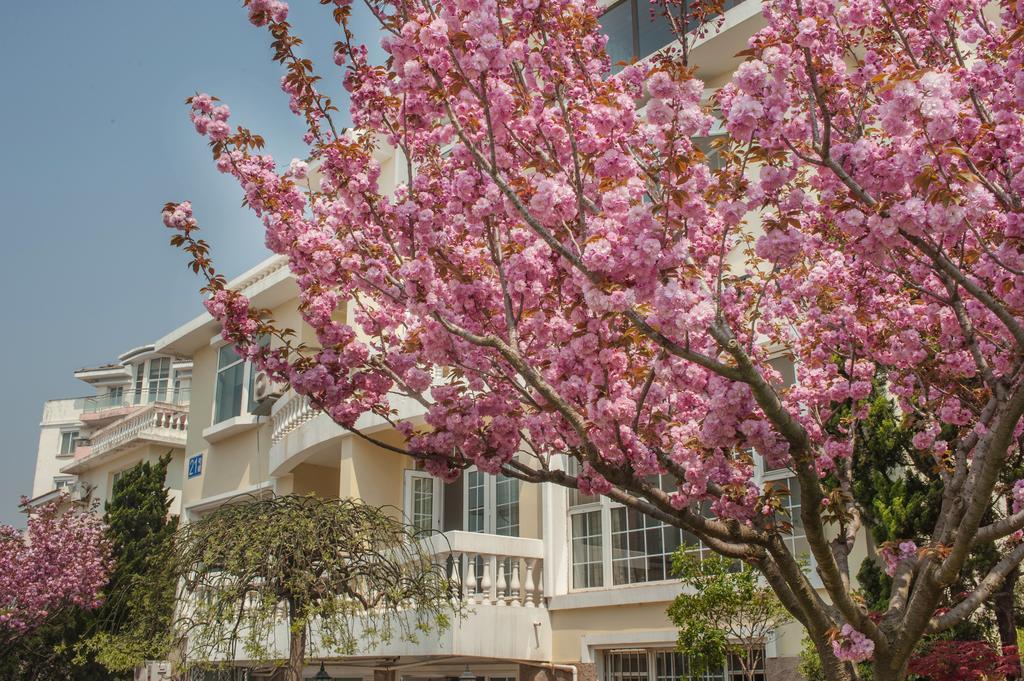 Villa Inn No.21 Seaside Thanh Đảo Ngoại thất bức ảnh